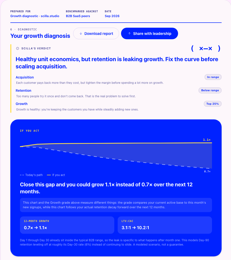 A growth diagnostic report: the verdict, three grades and the 12-month projection